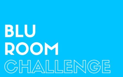 Blu Room Challenge Final Recap