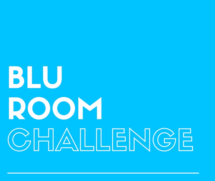 Blu Room Challenge Final Recap